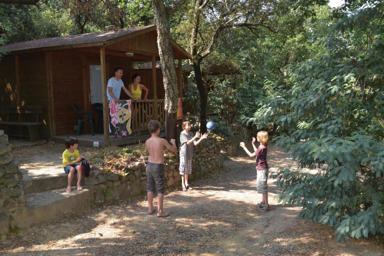 Camping Des Alberes Laroque-des-Alberes Ngoại thất bức ảnh