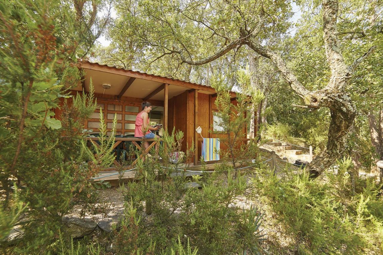 Camping Des Alberes Laroque-des-Alberes Ngoại thất bức ảnh