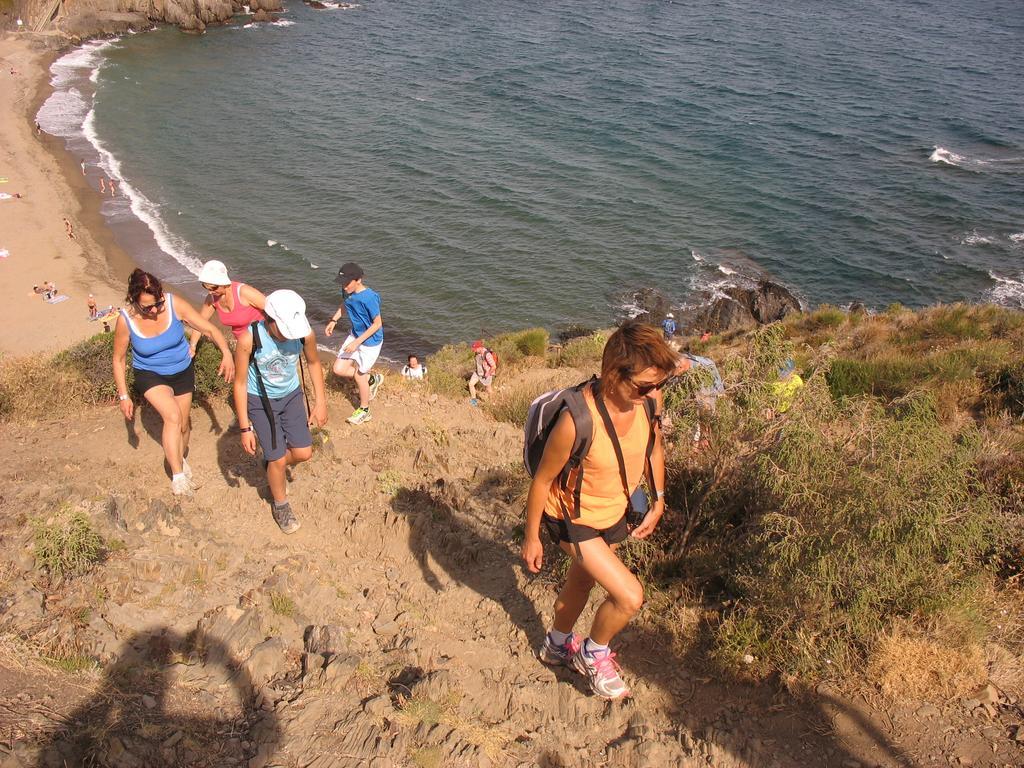 Camping Des Alberes Laroque-des-Alberes Ngoại thất bức ảnh